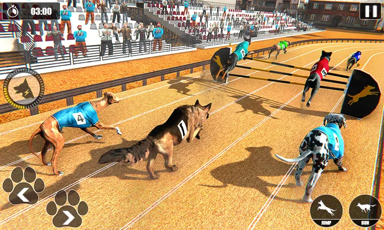 Cách Chơi Game Nhanh Đua Chó Tại Yeu88 Để Thắng Đậm Mỗi Ngày